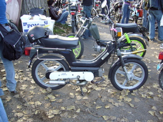 P1010109.JPG