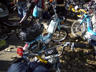 P1010110.JPG