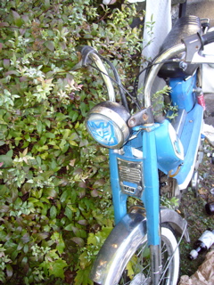 P1010087.JPG