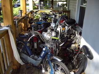 P1010089.JPG